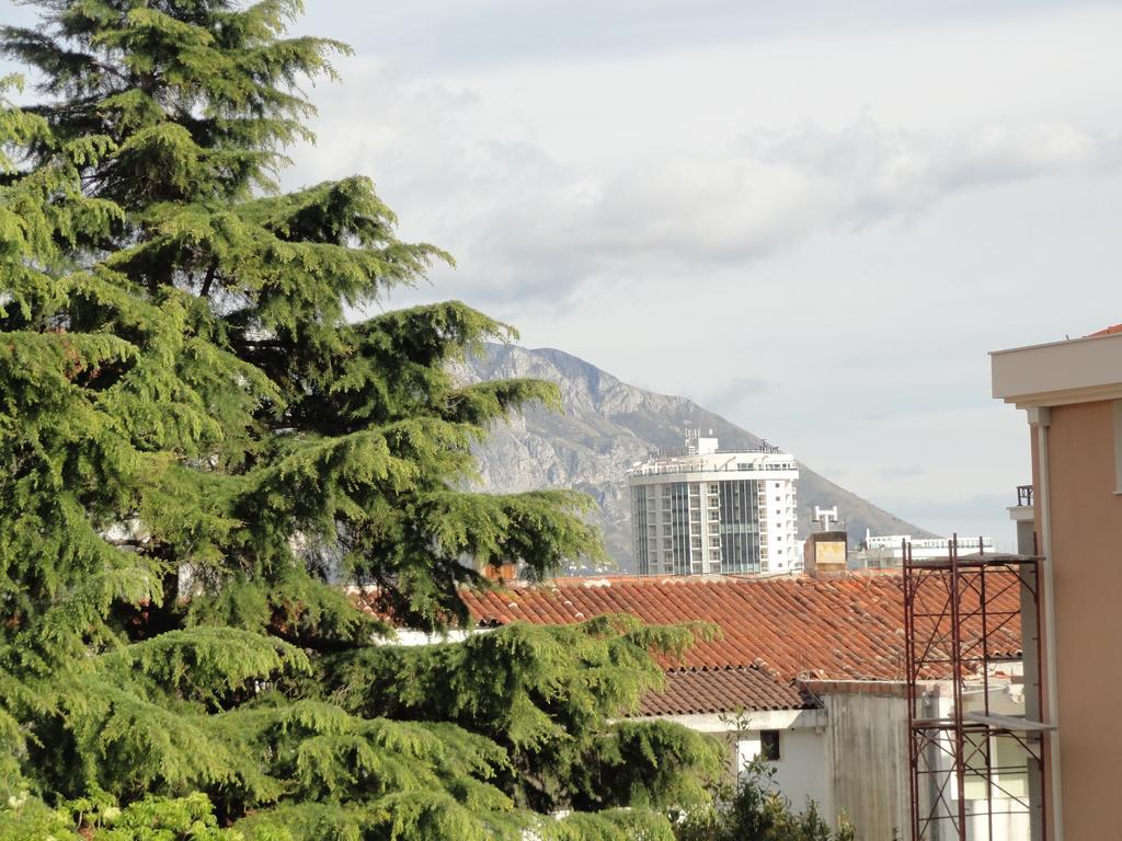 Apartments Pribilovic 布德瓦 外观 照片